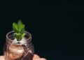 7 Essentials You Need to Know on How to Invest in Dividend Stocks