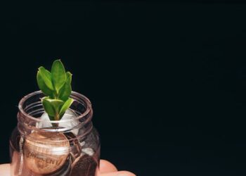 7 Essentials You Need to Know on How to Invest in Dividend Stocks