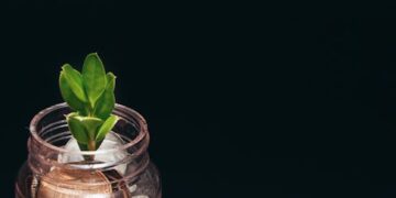 7 Essentials You Need to Know on How to Invest in Dividend Stocks