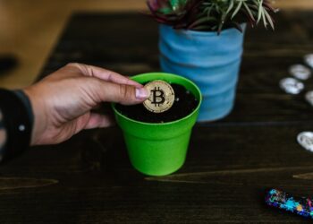 Top 5 Safe Investment Options with Low Risk for Long-Term Security