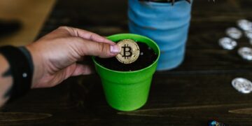 Top 5 Safe Investment Options with Low Risk for Long-Term Security